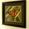 Monarch "Freddy" - Image 2