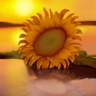 Sunflower Beach Reflection Fine Art Print