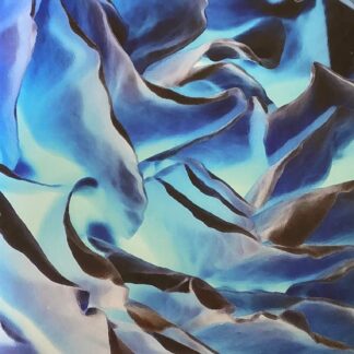 Blue Rose