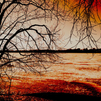 Before the Winter Series 2