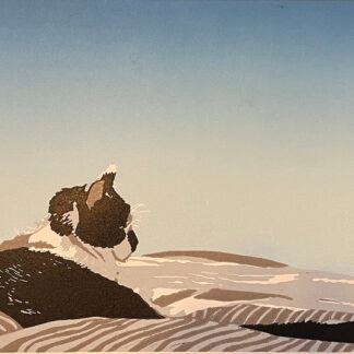 Landscape w/Cat