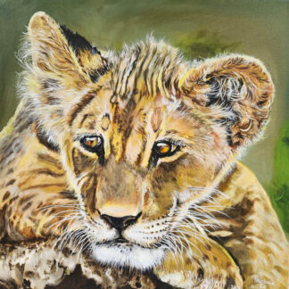 Relaxing Cub
