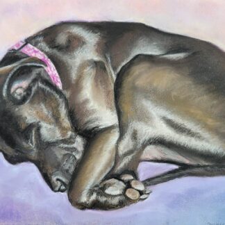 Knotty Dog