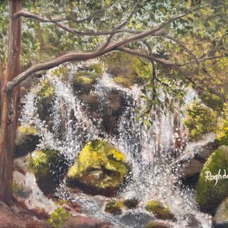 Arboretum Fall