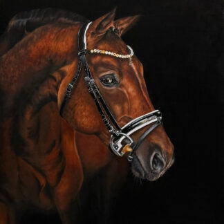 The Stallion