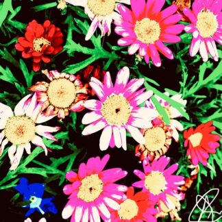 Georgés Zydeco Flowers