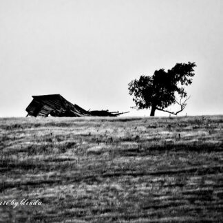 High Plains Homestead