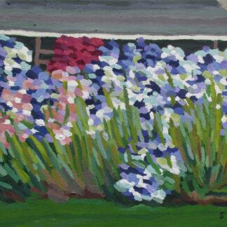 Erin's Iris Garden