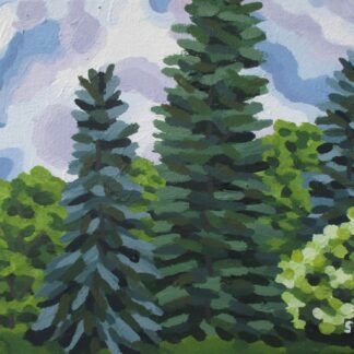 Evergreen Trees and Flowering Bush