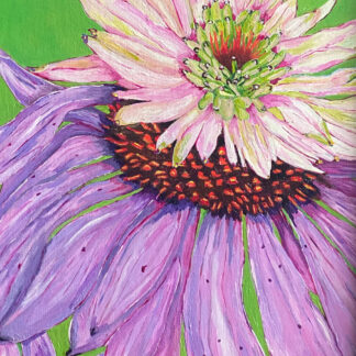 Coneflower