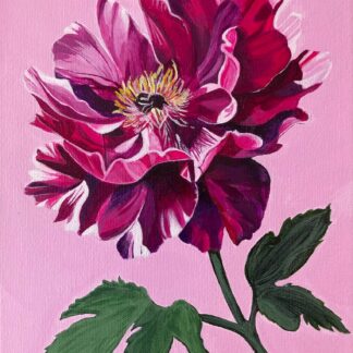 Magenta Bloom