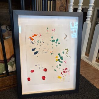 Animal Footprints
