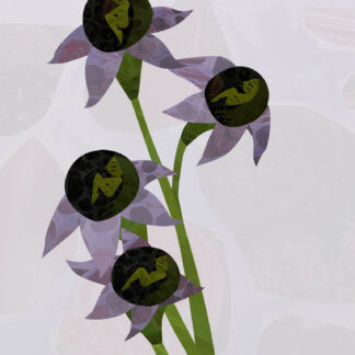 Belladonna Daughters