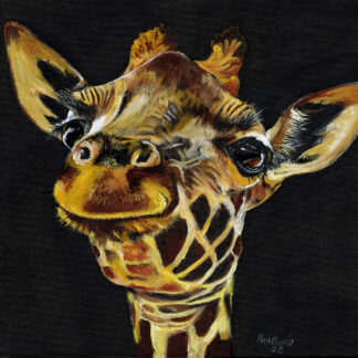 Giraffe Look Up