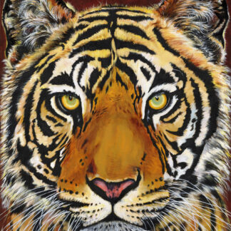 Tiger Portrait