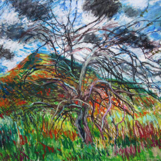 Mt. Norwottuck and Apple Tree