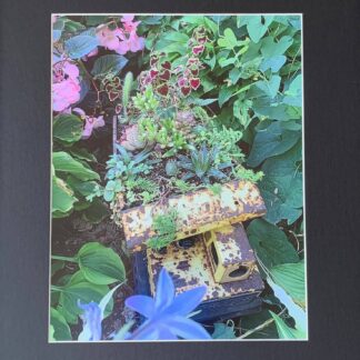 Rusty Renewal