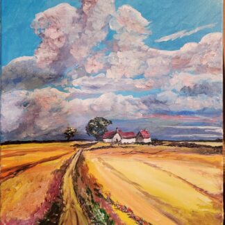Open Field