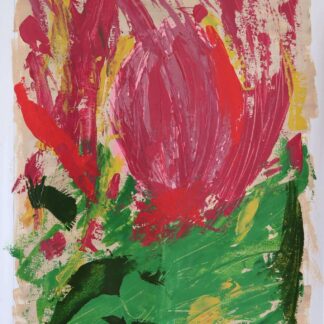 Tulip