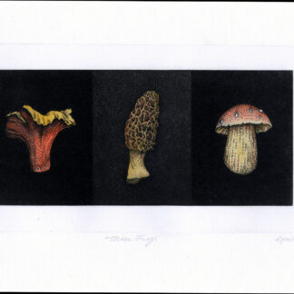 Three Fungi
