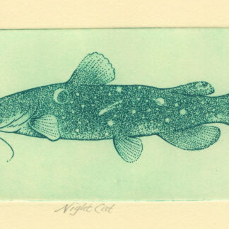 Night Cat