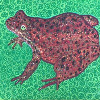 Oregon Spotted Frog