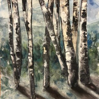 Shadows of the Trees