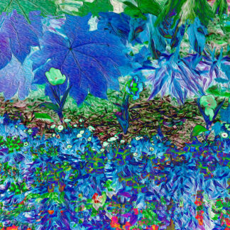 San Antonio Botanical Blue